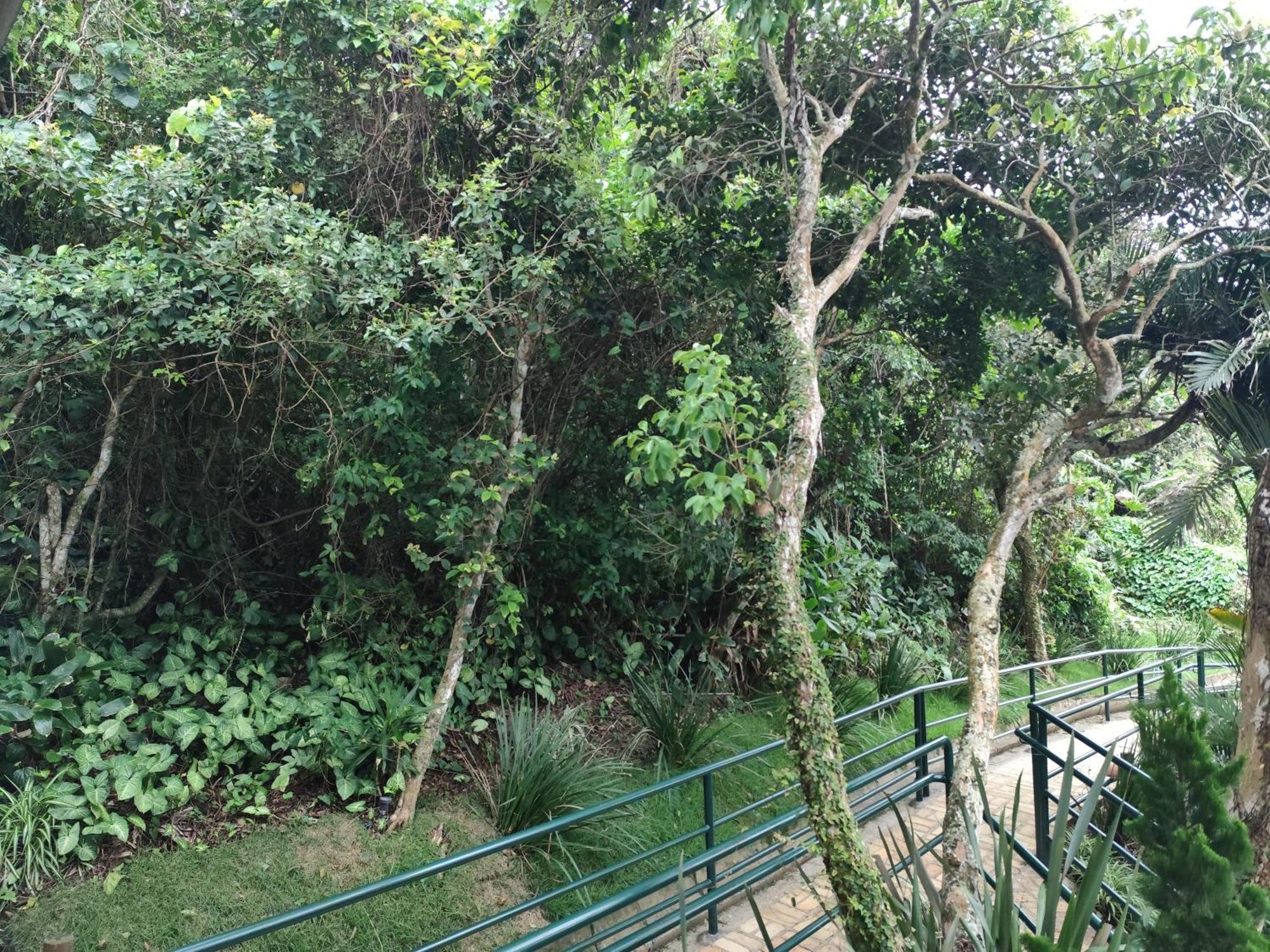 Pousada Canto da Vigia Penha (Santa Catarina) Exterior foto